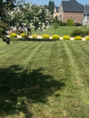 Ornamental edging & detail cut